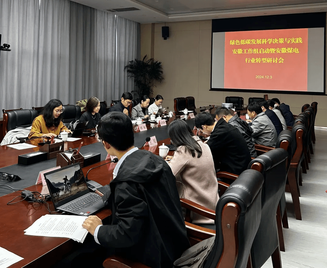 Kick-off on the Anhui Working Group on Scientific Decision-making and Practice for Green and Low-carbon Development and Seminar on the Transformation of Anhui Coal and Power Industry