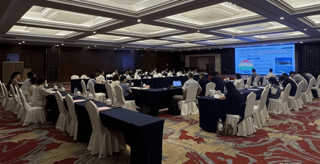 Workshop on Accelerating Large-Scale Equipment Replacement and Unleashing the Potential of New Quality Productive Forces