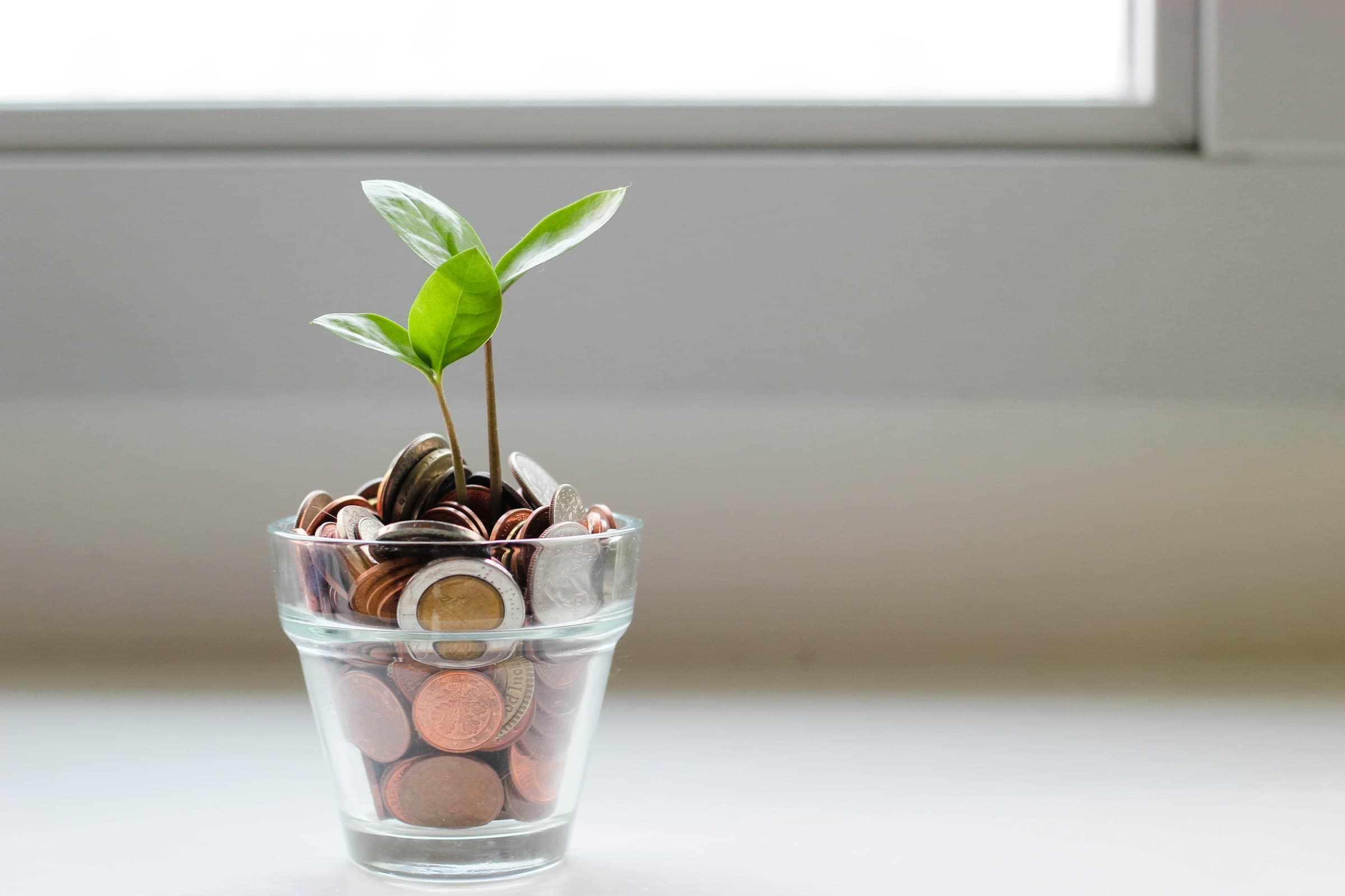 Carbon Cap Development
