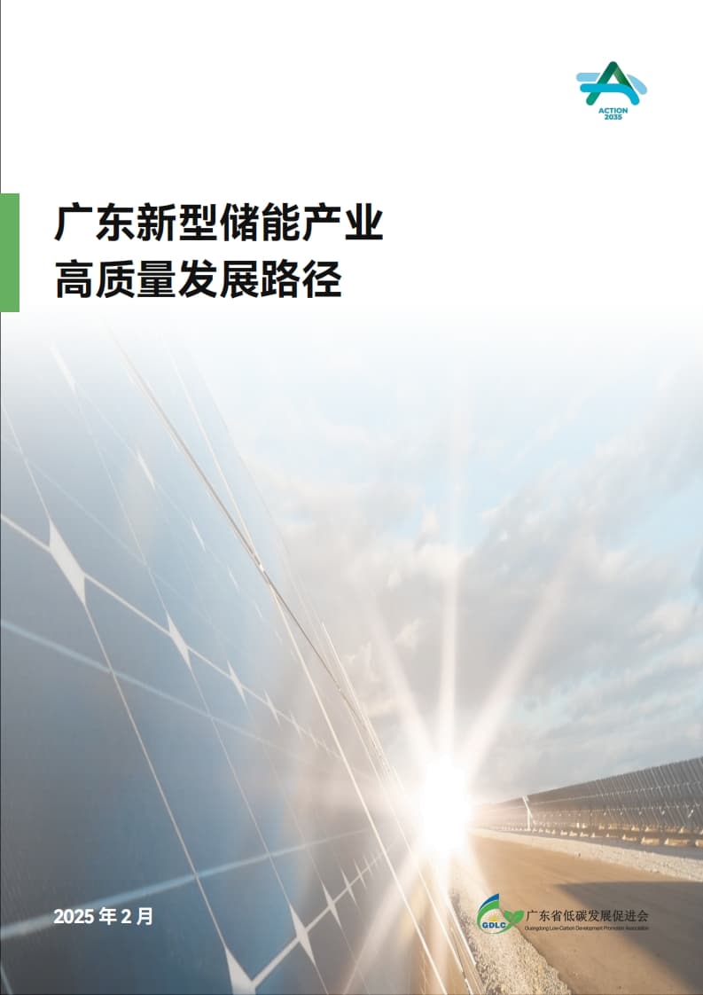 High-quality Development Path of Guangdong's New Energy Storage Industry